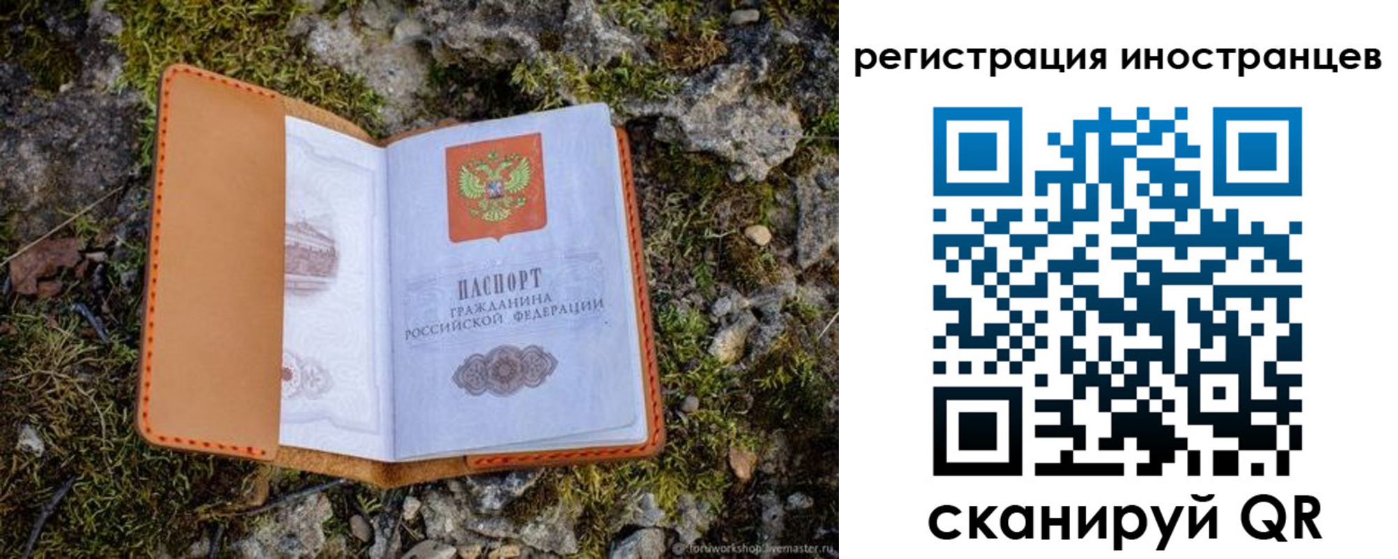 прописка паспорт в Бородино